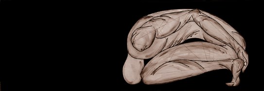 André Che Isse ''IL DANZATORE GINNOSOFISTA EBRO'' 70x200cm opera retroilluminata dicembre 2014