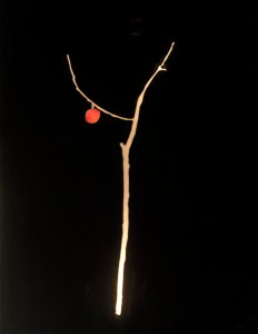 ”L’albero dei baci” 130x100cm opera retroilluminata marzo 2008
