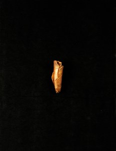 André Che Isse IL TASCAPANE DI ULISSE