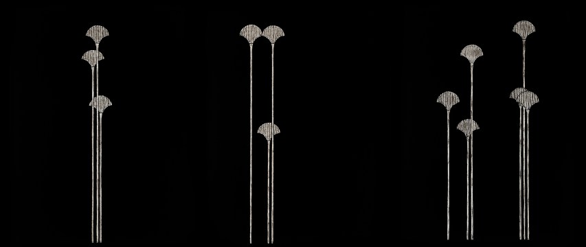 André Che Isse 12 fiori di loto sacro dietro l'universo